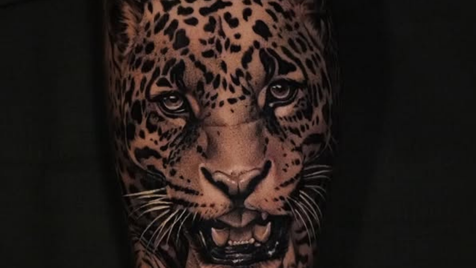 Customer Favorites: Our Top-Selling Needles